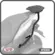 SUPORTE BAU SUPERIOR YAMAHA AEROX 2026 SPTO1035